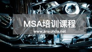 MSA輔導(dǎo)培訓(xùn)