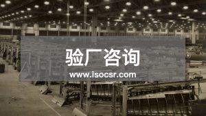 驗(yàn)廠咨詢